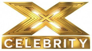 The X Factor: Celebrity сезон 1