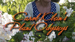 Carol Klein's Plant Odysseys season 1