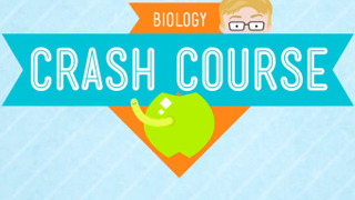 Crash Course Biology season 1