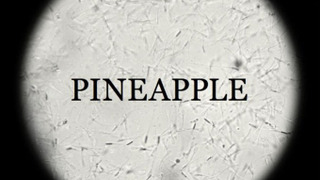 Show Pineapple