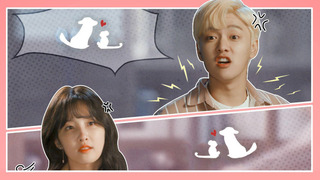 Show Monkey and Dog Romance