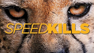 Speed Kills season 2