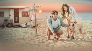 Show Lovestruck in the City