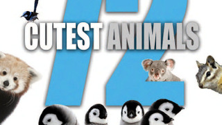 72 Cutest Animals сезон 1