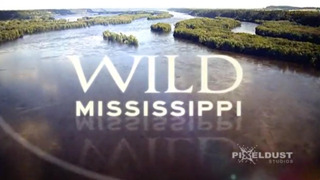 Wild Mississippi season 1