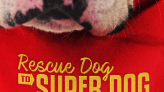 Rescue Dog to Super Dog season 1