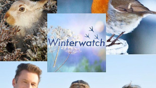 Winterwatch season 12
