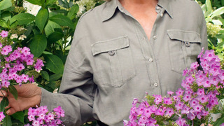 Сериал Martha Gardens