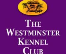 Westminster Kennel Club Dog Show season 1948