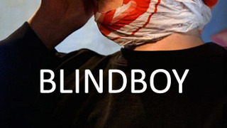 Blindboy Undestroys the World season 1