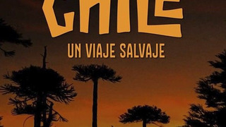 Show Wild Chile: Un Viaje Salvaje