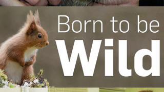 Born to Be Wild season 1