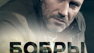 Сериал Бобры