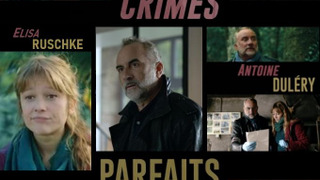 Crimes parfaits season 2