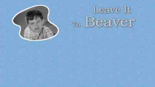 Leave It to Beaver season 4