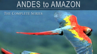 Andes to Amazon season 1