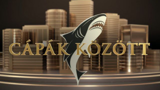 Cápák között season 5