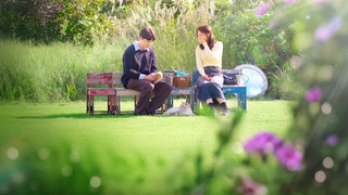 Show Better Late Than Single