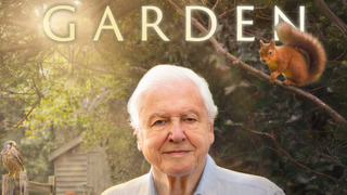 Сериал Secret Garden