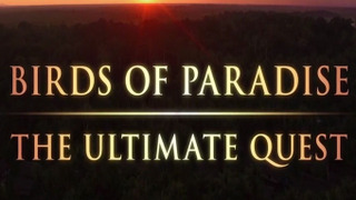 Birds of Paradise: The Ultimate Quest season 1