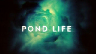 Pond Life season 1