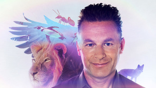 BBC: Чудеса животного мира	 сезон 1
