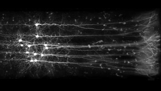 Сериал Владимир Алипов