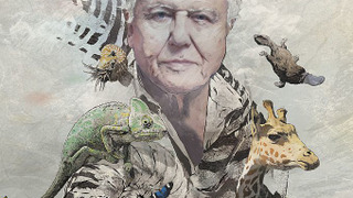 David Attenborough's Natural Curiosities season 2