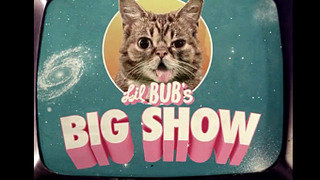 Lil BUB's Big SHOW сезон 2014