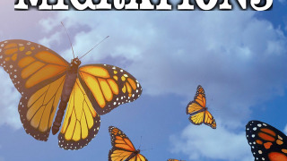 Show Secret Migrations