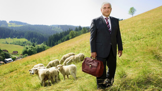 Сериал Доктор Мартин
