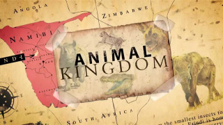 Animal Kingdom сезон 1