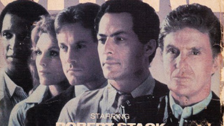 Strike Force (1981) сезон 1