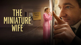 Сериал Миниатюрная жена