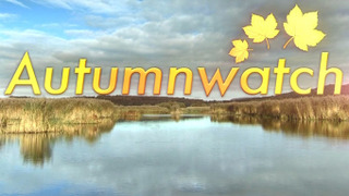 Autumnwatch season 2012