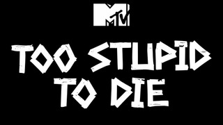 Too Stupid to Die season 1