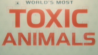 World's Most Toxic Animals season 1