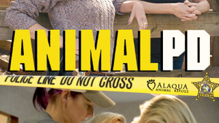 Animal PD сезон 1