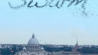 Show Swarm: Nature's Incredible Invasions