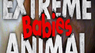 Extreme Animal Babies season 1