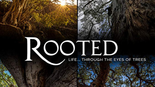 Rooted season 2