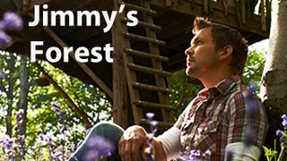 Jimmy's Forest сезон 1