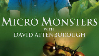 Micro Monsters with David Attenborough season 1