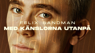 Felix Sandman: Med känslorna utanpå season 1