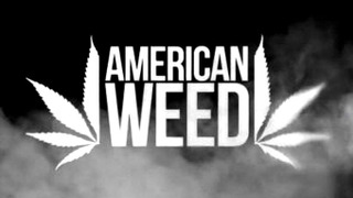 American Weed season 1