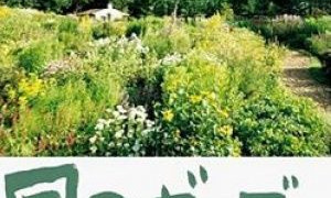 Сериал Ветер в саду