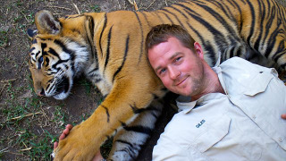 Сериал Tigers About the House