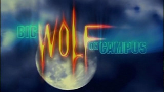 Big Wolf on Campus season 1