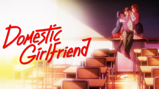 Anime Domestic Girlfriend