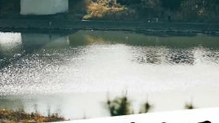 Show Iki wo Hisomete